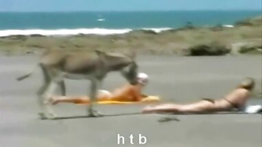 Kırsal türkçe yerli porno seks R20